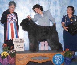 CH War Charging Thunder