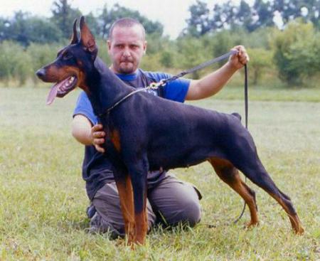 INT CH Rivien of Tanderberg