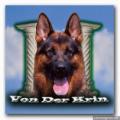 von der krin